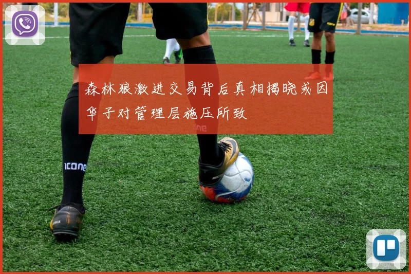 森林狼激进交易背后真相揭晓或因华子对管理层施压所致