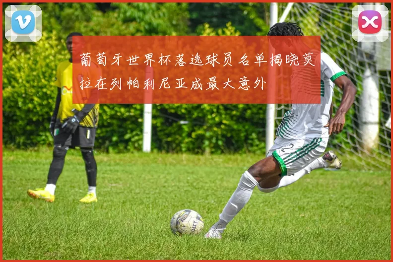葡萄牙世界杯落选球员名单揭晓莫拉在列帕利尼亚成最大意外