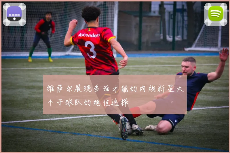维萨尔展现多面才能的内线新星大个子球队的绝佳选择
