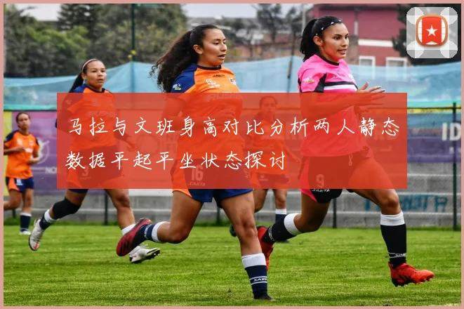 马拉与文班身高对比分析两人静态数据平起平坐状态探讨